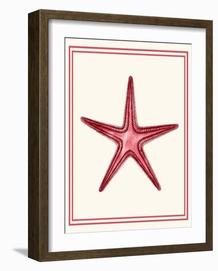 Mixed Nautical Coral on Cream a-Fab Funky-Framed Art Print