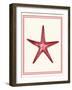 Mixed Nautical Coral on Cream a-Fab Funky-Framed Art Print