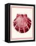 Mixed Nautical Coral on Cream b-Fab Funky-Framed Stretched Canvas