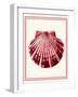 Mixed Nautical Coral on Cream b-Fab Funky-Framed Art Print