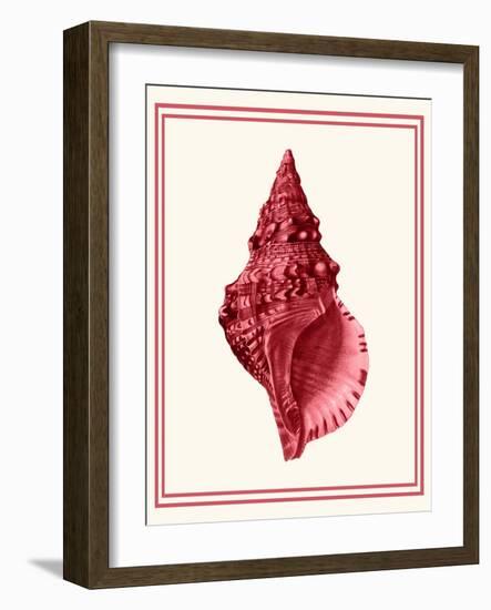 Mixed Nautical Coral on Cream c-Fab Funky-Framed Art Print