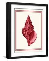 Mixed Nautical Coral on Cream c-Fab Funky-Framed Art Print