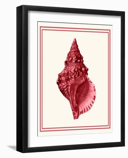 Mixed Nautical Coral on Cream c-Fab Funky-Framed Art Print