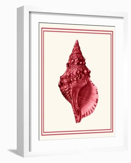 Mixed Nautical Coral on Cream c-Fab Funky-Framed Art Print