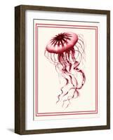 Mixed Nautical Coral on Cream e-Fab Funky-Framed Art Print