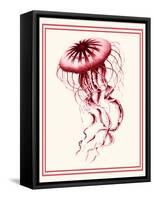 Mixed Nautical Coral on Cream e-Fab Funky-Framed Stretched Canvas
