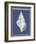 Mixed Nautical White on Indigo Blue c-Fab Funky-Framed Art Print