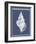 Mixed Nautical White on Indigo Blue c-Fab Funky-Framed Art Print