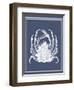 Mixed Nautical White on Indigo Blue f-Fab Funky-Framed Art Print