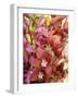 Mixed Orchids-Tony Craddock-Framed Photographic Print