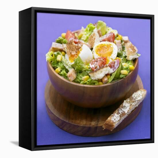 Mixed Salad with Chicken Breast and Egg-Bernard Radvaner-Framed Stretched Canvas