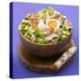 Mixed Salad with Chicken Breast and Egg-Bernard Radvaner-Stretched Canvas