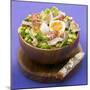 Mixed Salad with Chicken Breast and Egg-Bernard Radvaner-Mounted Photographic Print