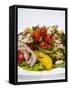 Mixed Salad with Grilled Vegetables-Giannis Agelou-Framed Stretched Canvas
