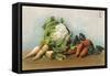 Mixed Vegetables 20C-null-Framed Stretched Canvas