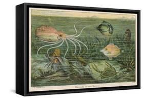 Mixture of Fish Octopus Crabs Sea Horses and Shellfish on the Sea Bed-null-Framed Stretched Canvas