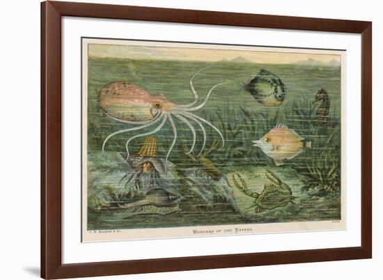 Mixture of Fish Octopus Crabs Sea Horses and Shellfish on the Sea Bed-null-Framed Photographic Print