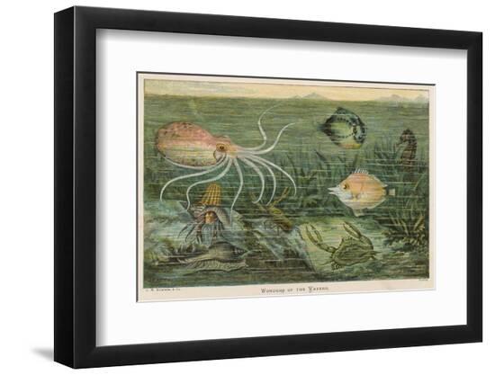 Premium Photographic Print, , large
