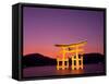 Miyajima Island, Itsukushima Shrine, Torii Gate, Night View, Honshu, Japan-Steve Vidler-Framed Stretched Canvas