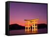 Miyajima Island, Itsukushima Shrine, Torii Gate, Night View, Honshu, Japan-Steve Vidler-Framed Stretched Canvas