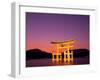 Miyajima Island, Itsukushima Shrine, Torii Gate, Night View, Honshu, Japan-Steve Vidler-Framed Photographic Print