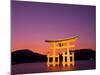 Miyajima Island, Itsukushima Shrine, Torii Gate, Night View, Honshu, Japan-Steve Vidler-Mounted Photographic Print