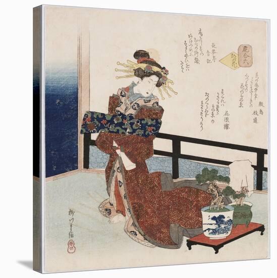Miyako No Hana 'Flower of the Capital'-Yanagawa Shigenobu II-Stretched Canvas