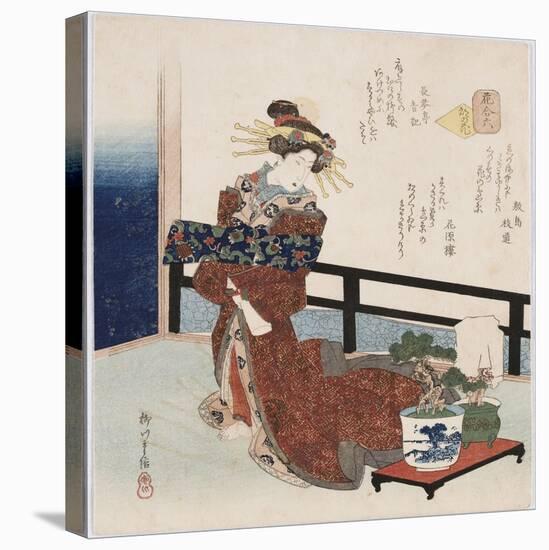 Miyako No Hana 'Flower of the Capital'-Yanagawa Shigenobu II-Stretched Canvas
