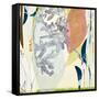 Miyako-Cynthia MacCollum-Framed Stretched Canvas