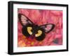 Miyana Meyeri Butterfly on Flowers-Darrell Gulin-Framed Photographic Print