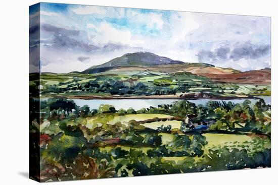 Mizen View County Cork-Tilly Willis-Stretched Canvas