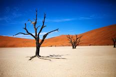 Namibia Desert-MJO Photo-Framed Photographic Print