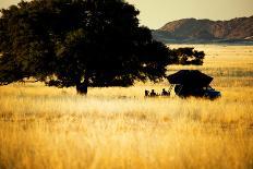 Namibia Desert-MJO Photo-Photographic Print