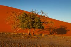 Namibia Desert-MJO Photo-Framed Photographic Print