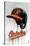 MLB Baltimore Orioles - Drip Helmet 22-Trends International-Stretched Canvas