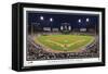 MLB Chicago White Sox - Guaranteed Rate Field 22-Trends International-Framed Stretched Canvas