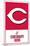 MLB Cincinnati Reds - Logo 22-Trends International-Mounted Poster