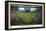 MLB Milwaukee Brewers - American Family Field 22-Trends International-Framed Stretched Canvas