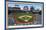 MLB New York Mets - Citi Field 22-Trends International-Mounted Poster