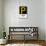 MLB Pittsburgh Pirates - Logo 22-Trends International-Poster displayed on a wall