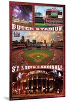 MLB St. Louis Cardinals - Busch Stadium 16-Trends International-Mounted Poster