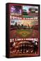 MLB St. Louis Cardinals - Busch Stadium 16-Trends International-Framed Stretched Canvas