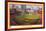 MLB St. Louis Cardinals - Busch Stadium 22-Trends International-Framed Poster