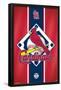 MLB St. Louis Cardinals - Logo 15-Trends International-Framed Poster