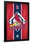 MLB St. Louis Cardinals - Logo 15-Trends International-Framed Poster