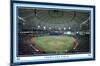 MLB Tampa Bay Rays - Tropicana Field 22-Trends International-Mounted Poster