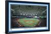 MLB Tampa Bay Rays - Tropicana Field 22-Trends International-Framed Poster