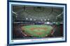 MLB Tampa Bay Rays - Tropicana Field 22-Trends International-Mounted Poster