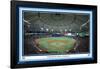 MLB Tampa Bay Rays - Tropicana Field 22-Trends International-Framed Poster