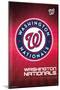 MLB Washington Nationals - Logo 16-Trends International-Mounted Poster